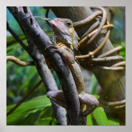 Merten's Vatten Monitor Poster