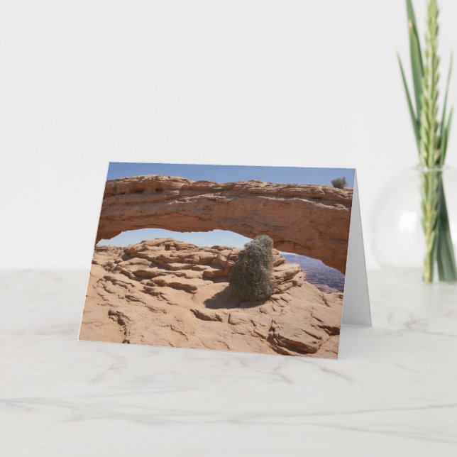 Mesa Arch och Tumbleweed vid Canyonlands Kort (Framsida)