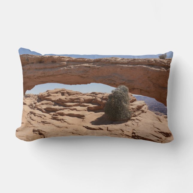 Mesa Arch och Tumbleweed vid Canyonlands Lumbarkudde (Framsida)