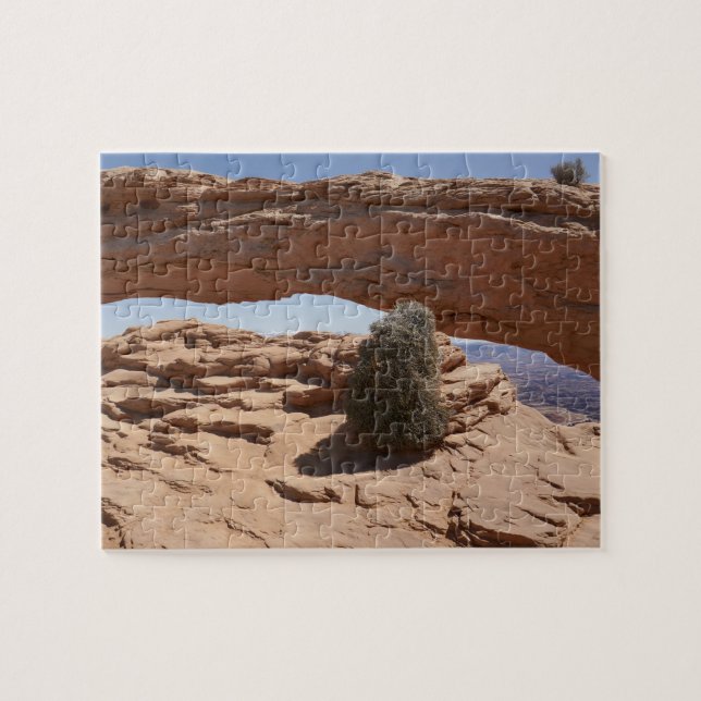 Mesa Arch och Tumbleweed vid Canyonlands Pussel (Horisontell)