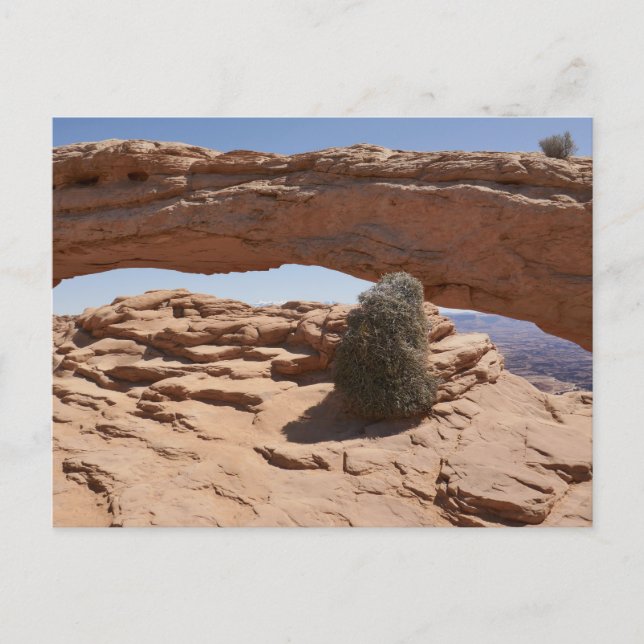 Mesa Arch och Tumbleweed vid Canyonlands Vykort (Framsida)