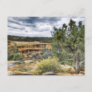 Mesa Verde Cliff Dwellings Vykort