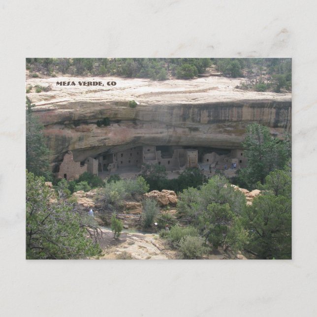 Mesa Verde, CO Vykort (Framsida)