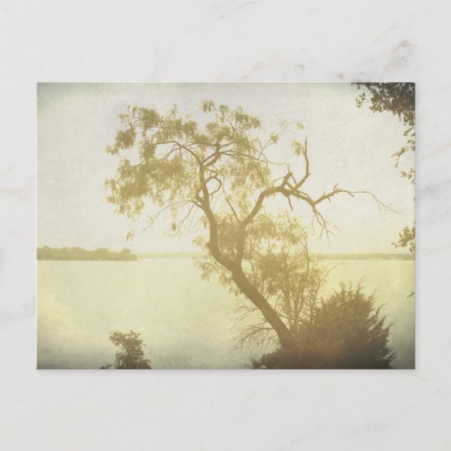 Mesganska Träd vid Cedar Backe art-vykort Vykort (Framsida)