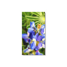 Mesmeriserande natur vårflora samling