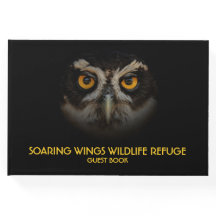 Mesmerisering av Golden Öga från ett spektakulerat