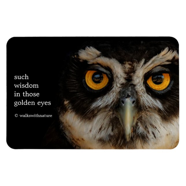 Mesmerisering av Golden Öga från ett spektakulerat Magnet (Horisontell)