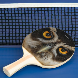 Mesmerisering av Golden Öga från ett spektakulerat Pingisracket