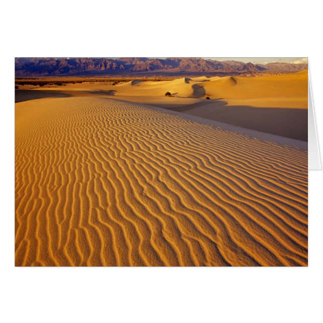 Mesquite Flat sanddyner i Death Valley Hälsningskort (Framsidan Horizontal)