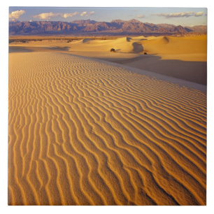 Mesquite Flat sanddyner i Death Valley Kakelplatta