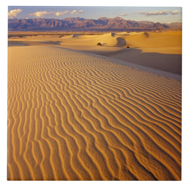 Mesquite Flat sanddyner i Death Valley Kakelplatta (Framsidan)