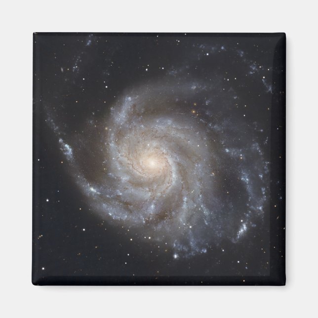 Messier 101, PinWheel Galaxy Magnet (Framsidan)