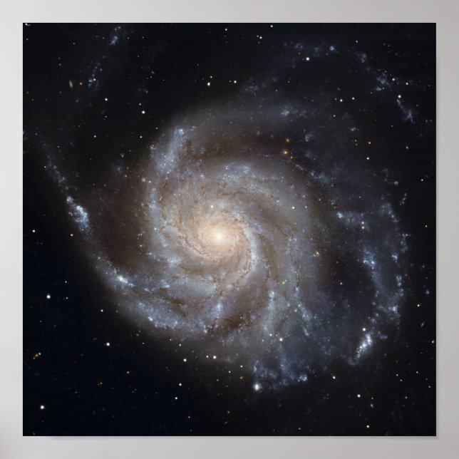 Messier 101, PinWheel Galaxy Poster (Framsidan)