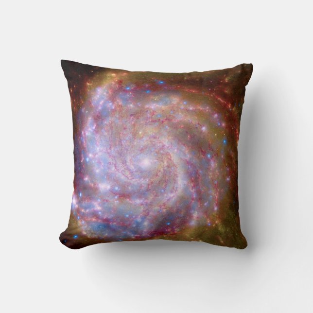 Messier 101 Spiralgalaxen - Hubble-teleskopets fot Kudde (Framsida)
