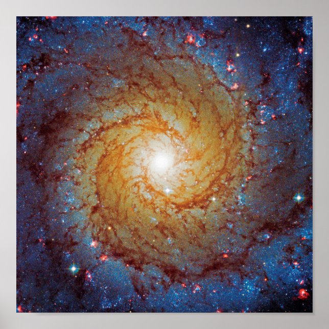 Messier 74 Spiral Galaxy Rymden Photo Poster (Framsidan)