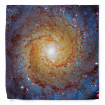 Messier 74 Spiralgalaxen Foto från rymden