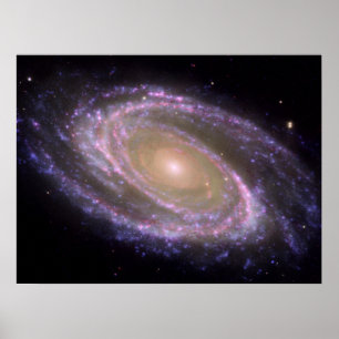 Messier 81 Spiral Galaxy Poster