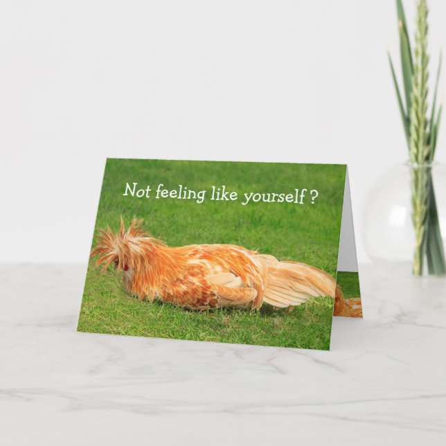 Messy Chicken kommer bra Kort (Framsida)