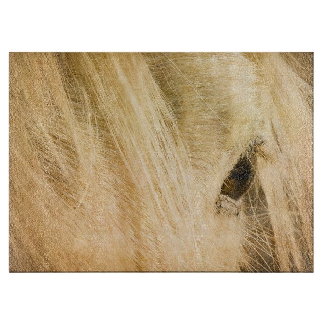 Messy Mane (Framsidan)