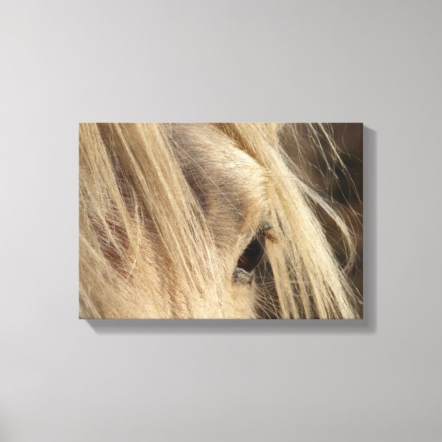 Messy Mane Canvastryck (Framsida)