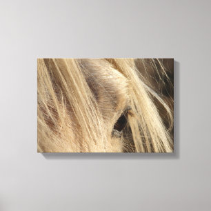 Messy Mane Canvastryck