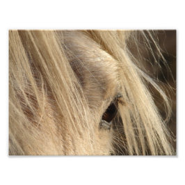 Messy Mane Day Fototryck