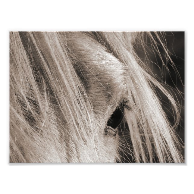 Messy Mane Day Fototryck (Framsidan)