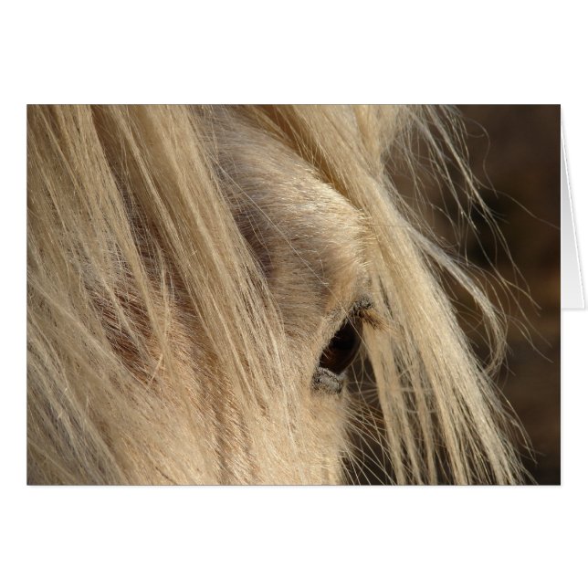 Messy Mane Day Hälsningskort (Framsidan Horizontal)