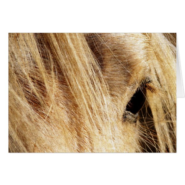 Messy Mane Day Hälsningskort (Framsidan Horizontal)