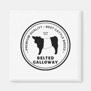Mest beslagtagna Galloway Cattle Breed Belge Magnet