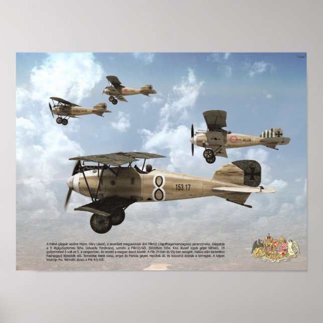Mest Ess i den österrikisk-ungerska KuK-styrkan Lu Poster (Framsidan)