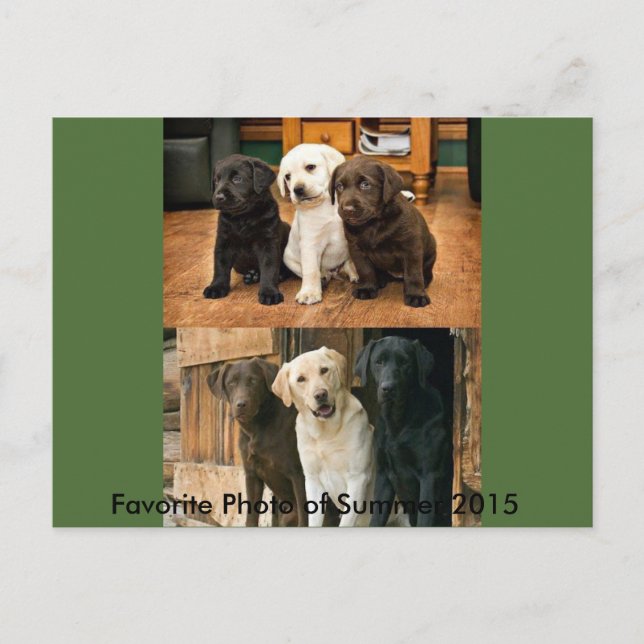 Mest Favoritbild 2015: Vykort (Framsida)