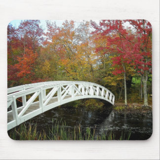 Mest fotograferad fläck musmatta