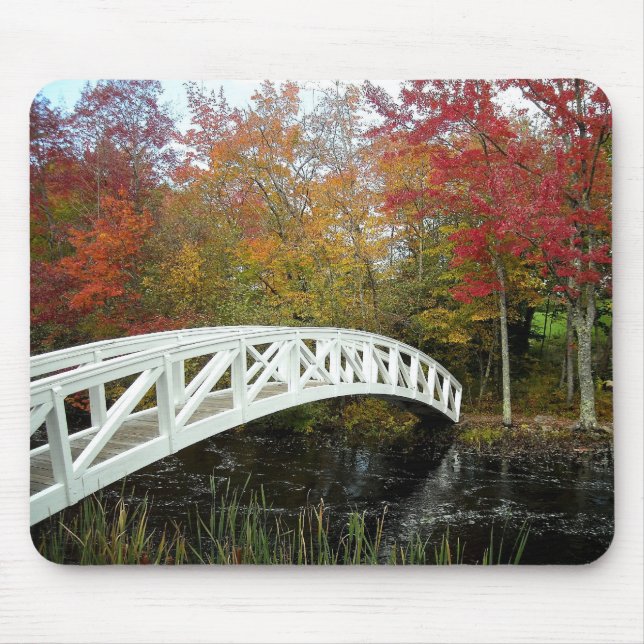 Mest fotograferad fläck musmatta (Framsidan)