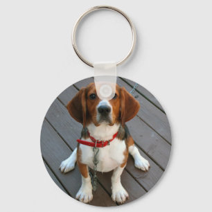 Mest gullig Beaglehund någonsin Nyckelring