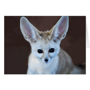 Mest gullig Fennec för världar räv Hälsningskort