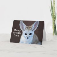 Mest gullig Fennec för världar räv