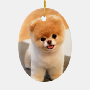 Mest gullig hund i världen julgransprydnad keramik