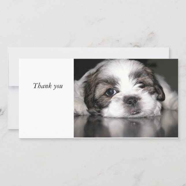 mest gullig valp någonsin, tacka dig tack kort (Framsida)