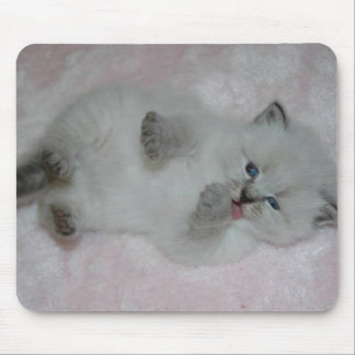 Mest gulliga SibKitten skräddarsy Mousepad - Musmatta