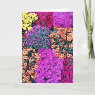 Mest kär hälsningkort för mamma kort