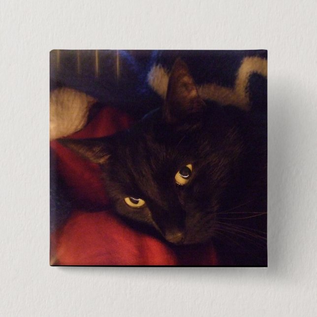 Mest stilig knäppas knapp (Framsida)