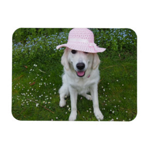mest sweetest hund i världen magnet