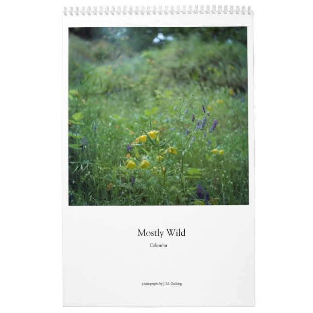 Mest Vild (blommor) Kalender (Omslag)