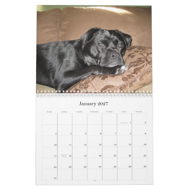 Mestadels Bo Kalender (Jan 2027)