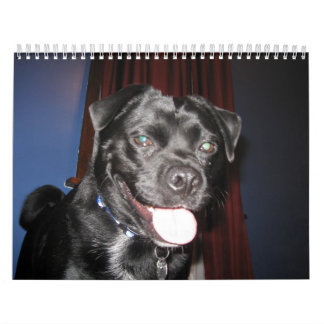 Mestadels Bo Kalender
