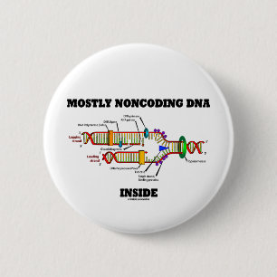 Mestadels Noncoding DNA-insida (DNA-replicationen) Knapp