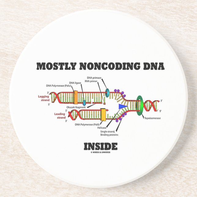 Mestadels Noncoding DNA-insida (DNA-replicationen) Underlägg (Framsidan)