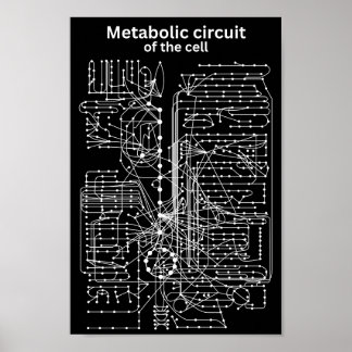 Metabolisk krets i cellen poster