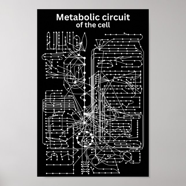 Metabolisk krets i cellen poster (Framsidan)